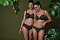 Трусы Rosa Faia Selma 1336 843/джунгли